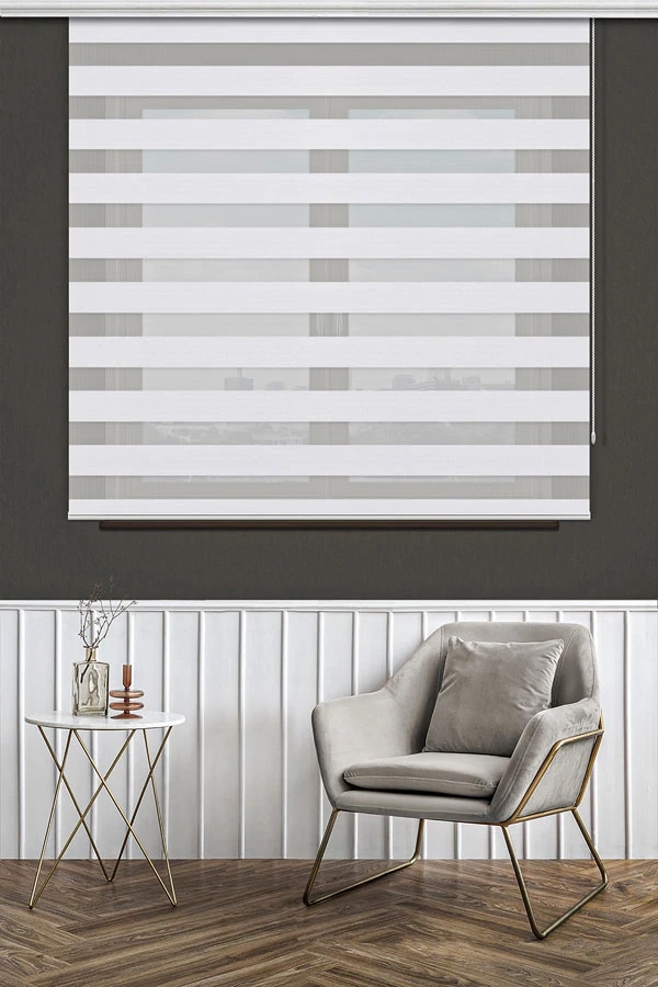 Zebra Blinds - Day and Night Light Control